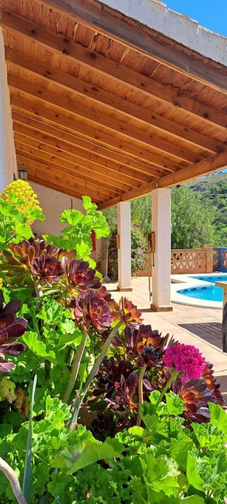 Peace And Tranquility At Montana Retreat Apartment Алора Стая снимка